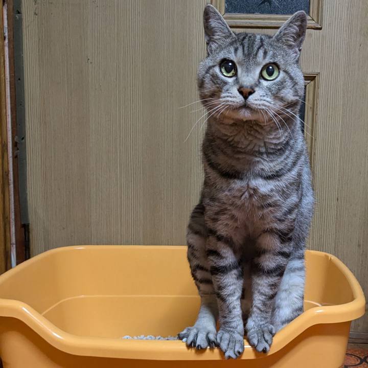 242ad37d 26a5 4516 af26 47f093e3251f 1722168924186