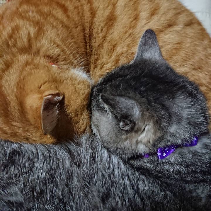 242ade1d ff0f 409d abe9 a8ecd2d5e0b8 1577884472559