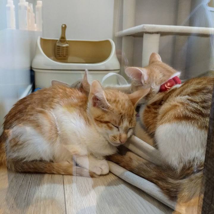 242b1453 ce0d 4679 90d3 b981aaf10fcf 1582379894085