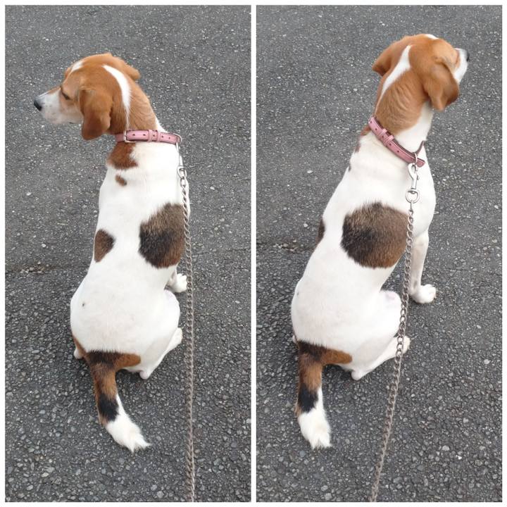 242b1eff 7630 4a06 b2e9 ff65d0f05aa5 1596011981977