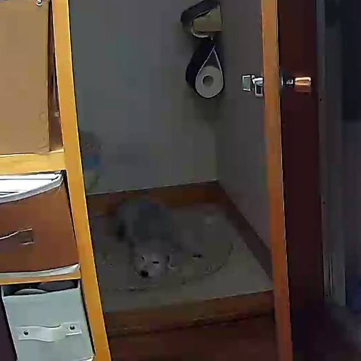 242b2de4 a47d 47d0 b6f1 c6b298e52f3d 1654489437240