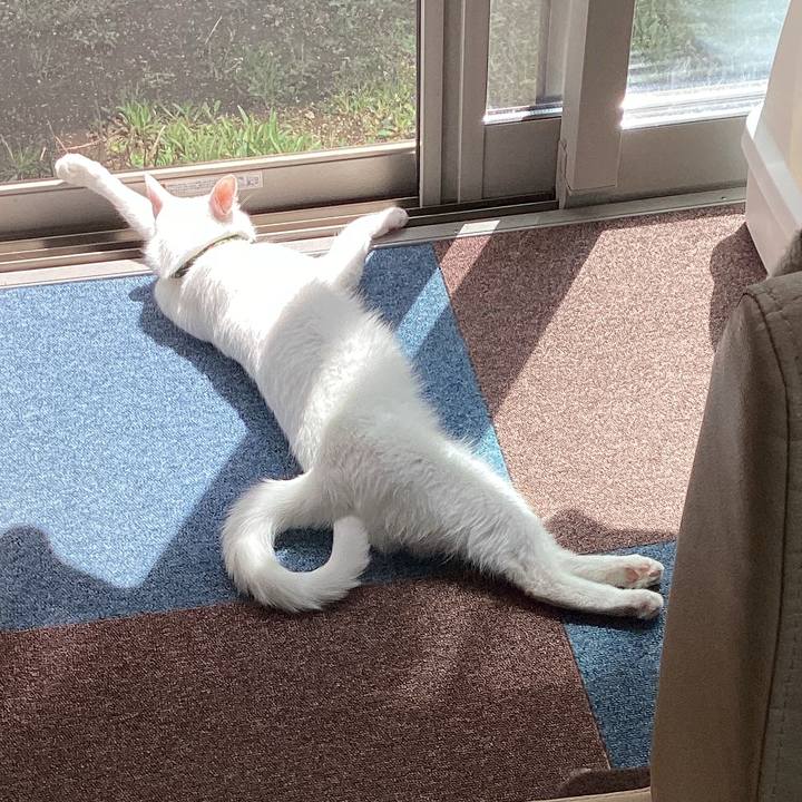 242b4430 7558 4e0c b8a5 402f2cc0ef9d 1649217203911