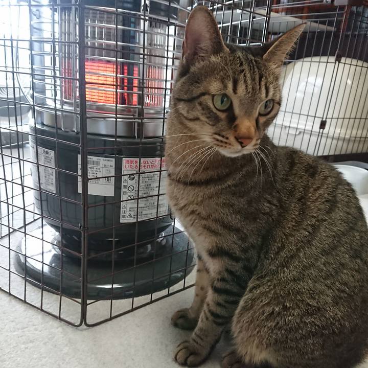 242b494f c84e 43e6 a109 59eb740b2d3e 1548485296828