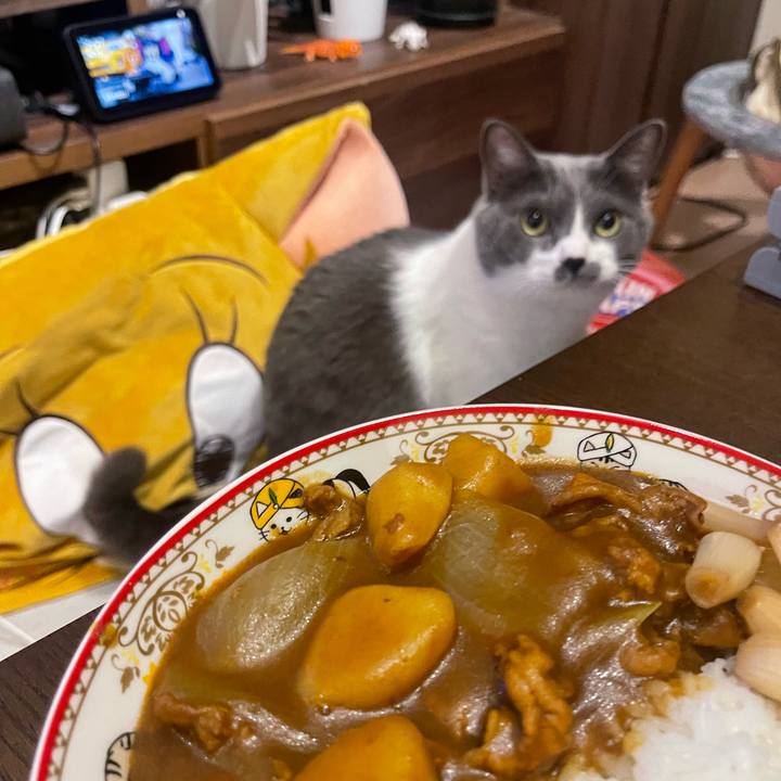 242ba9f0 0e7d 47d6 bcbf 7e47eb3523a7 1755946936570