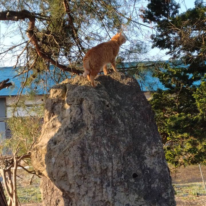 242bc357 aeb5 4bfa 9262 edd4495a44ac 1680128675797