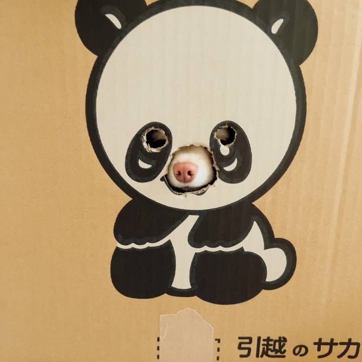 242bc75b cbc1 4793 9cd3 f466bc872ce1 1684230691045