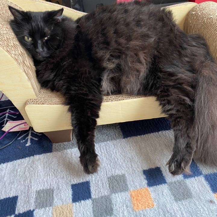 242bddd0 514e 4697 b025 35b9105a4026 1597921640730