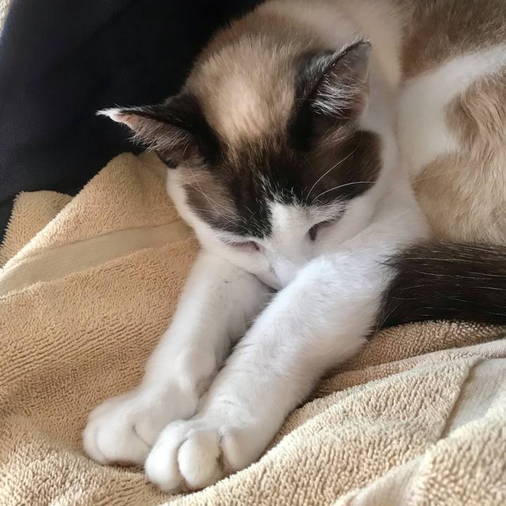 242c0f62 799b 4511 8a01 895503a52417 1615430739993