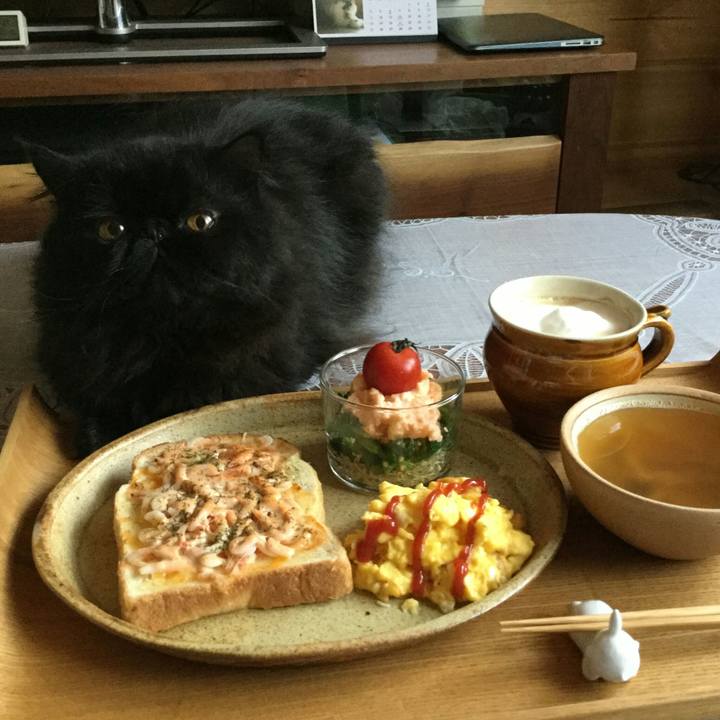 242c4503 ac44 4904 90cf 958bdb612ced 1521938775651