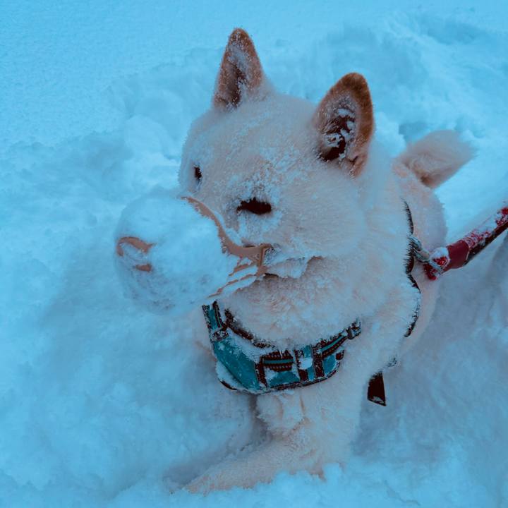 242c67c1 30e3 4ff3 b517 328b9341cbc7 1737067669165