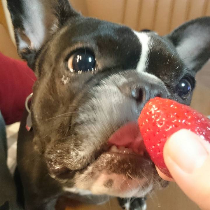 242c71da dede 46c7 9510 6bce8f62963a 1516532187881