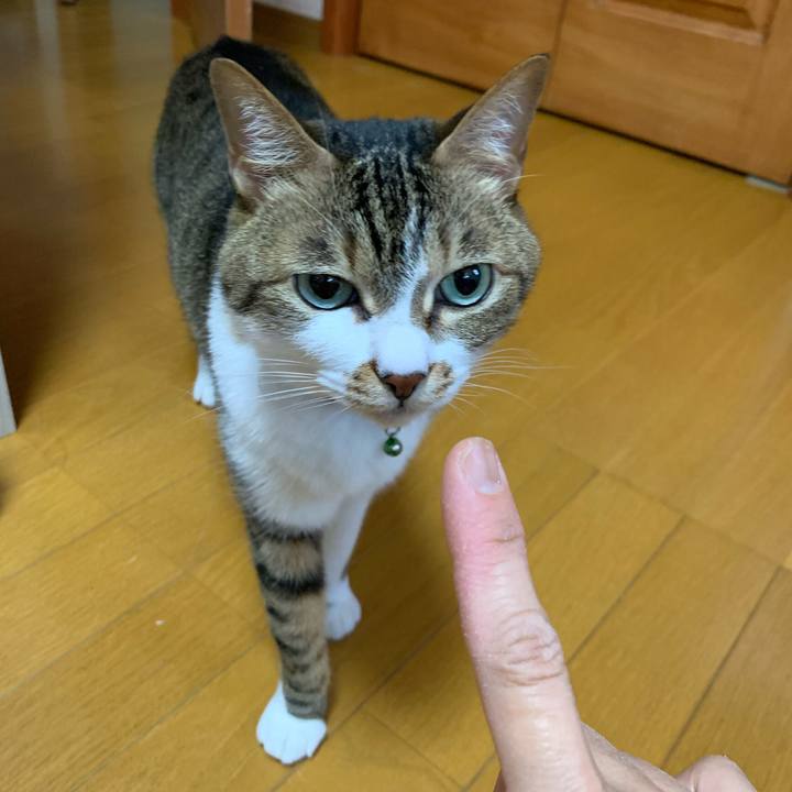 242c847b 9270 4e39 9087 3dad289de2ba 1619211202198