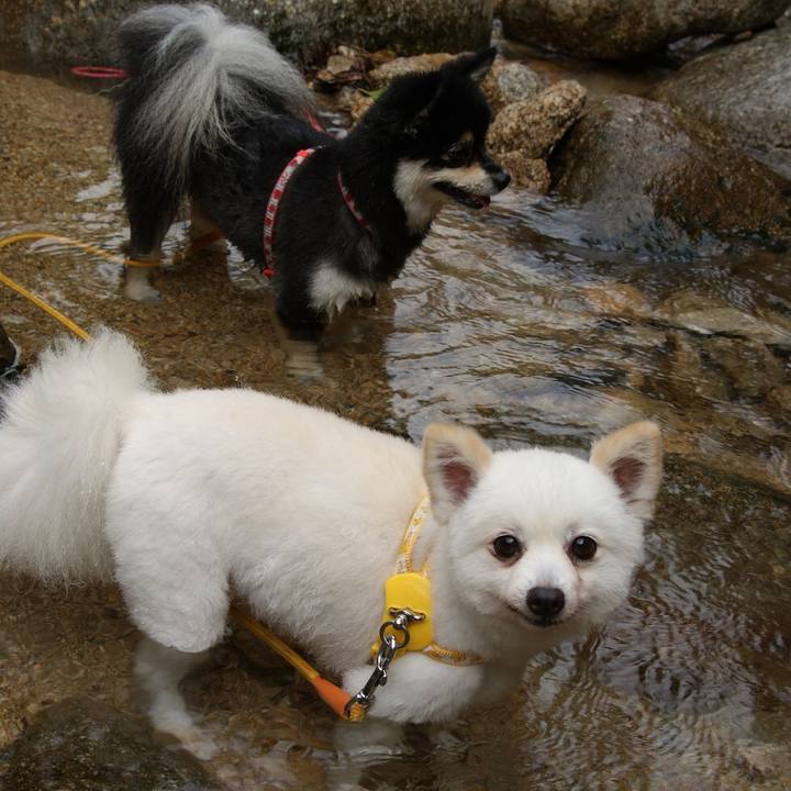 242ca5dc 98f7 4b6a a7df 047e4585c466 1565592091753