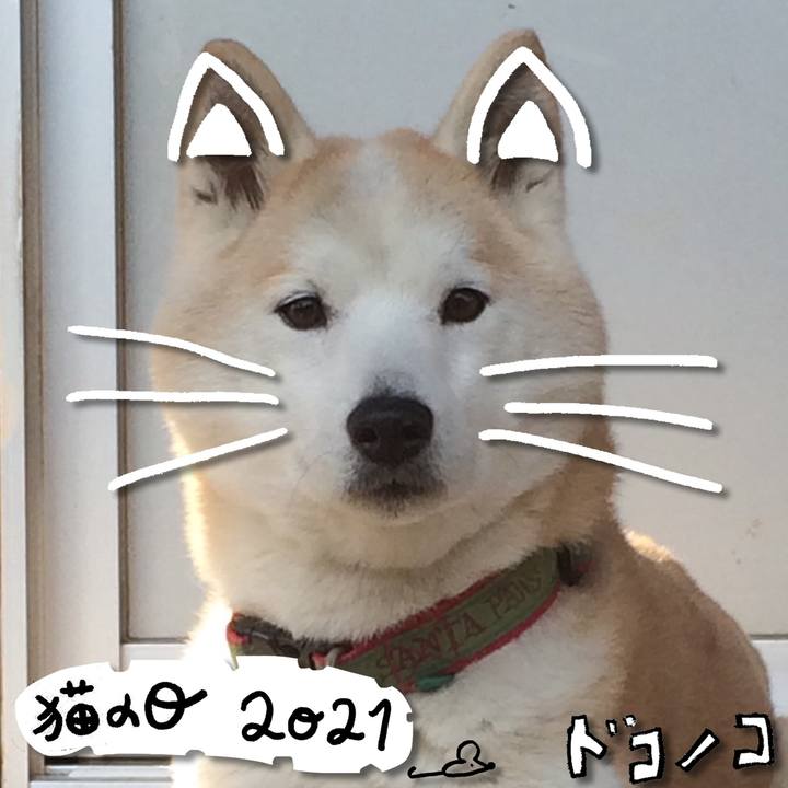 242cc130 5d19 4cd9 9640 bca44674c782 1613988569935