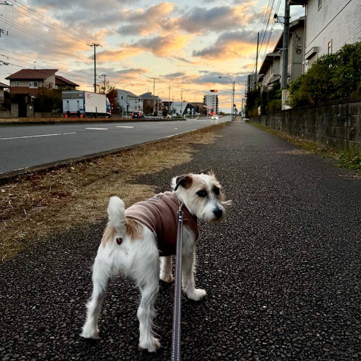 242cd15d 9be0 4dbd 87db ea873b1394d8 1766864288353