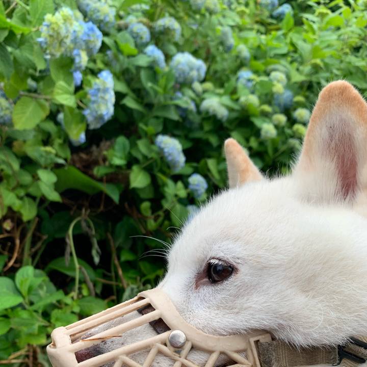 242d066c d4b2 49d2 81c3 f91d23073e2f 1625521577400