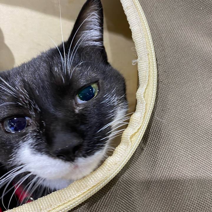 242d0ef9 4413 4974 accf 6c82c3a0ed70 1697654546455