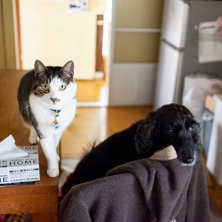 242d1842 d3bb 405a 9ebc b8b6d07503fd 1583982247625