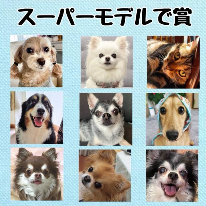 242d9d65 fd25 4e1e 9d88 682ab191f33f 1738017434954