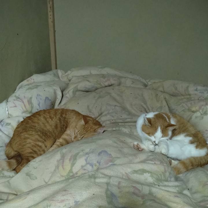 242db830 eec6 499e 8099 546109685f75 1763553146283