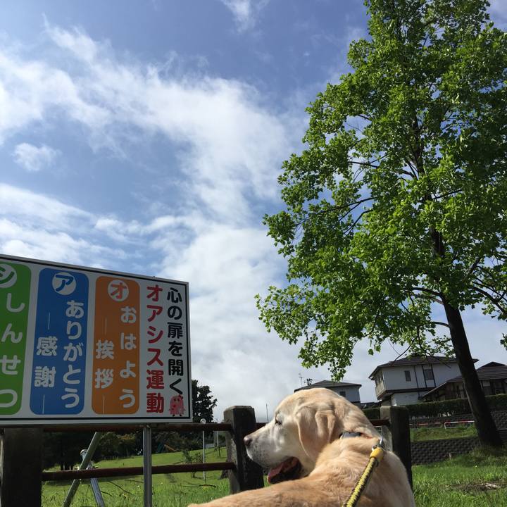 242de709 31f1 4043 a377 8c165e781af3 1536113337128