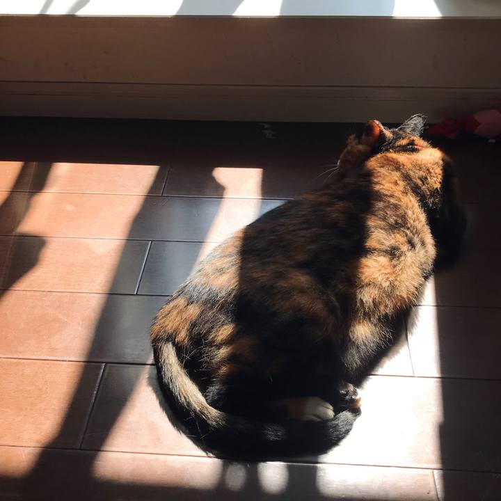 242dfbd2 1542 47b9 9fbe 87c495ce54ea 1600352398239