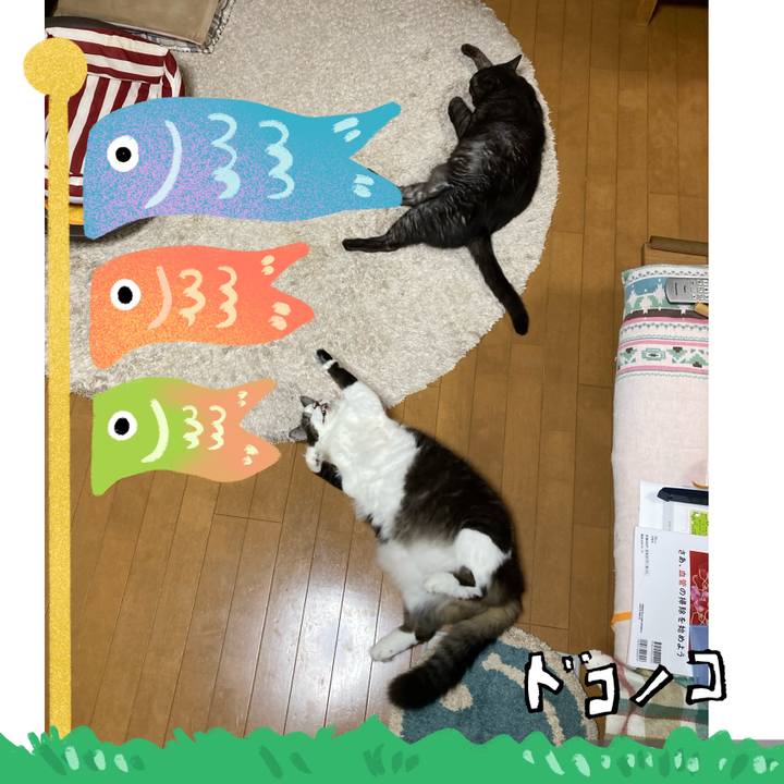 242e04f4 b1ea 4f2d b50f c54f28e07b2b 1714891566781