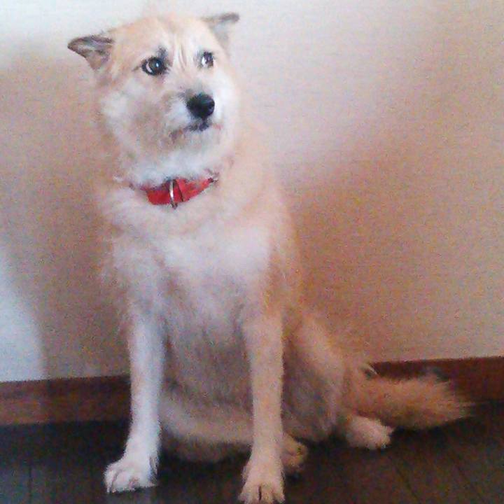 242e335e 3000 498d 81fd cf58365190a8 1541811912587