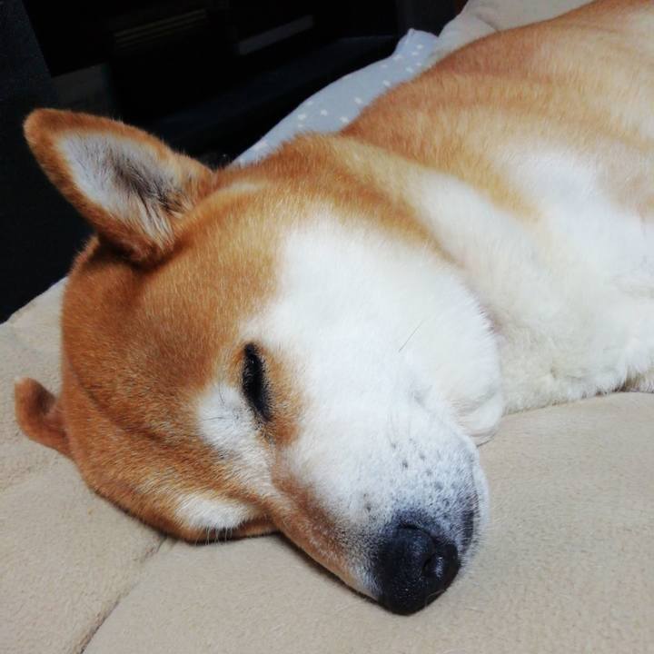 242e48de aa28 4434 8ef3 c7c23d77bffa 1651155311339