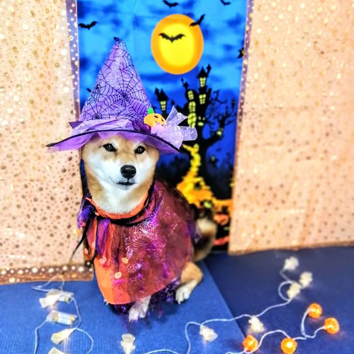 242e5a20 66db 4d6e 969d 57ee04fde3af 1601982541190