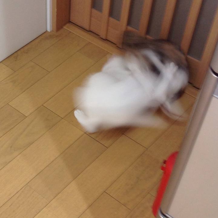 242e791e 8455 41d2 bb68 013b9a3589f7 1638946843944