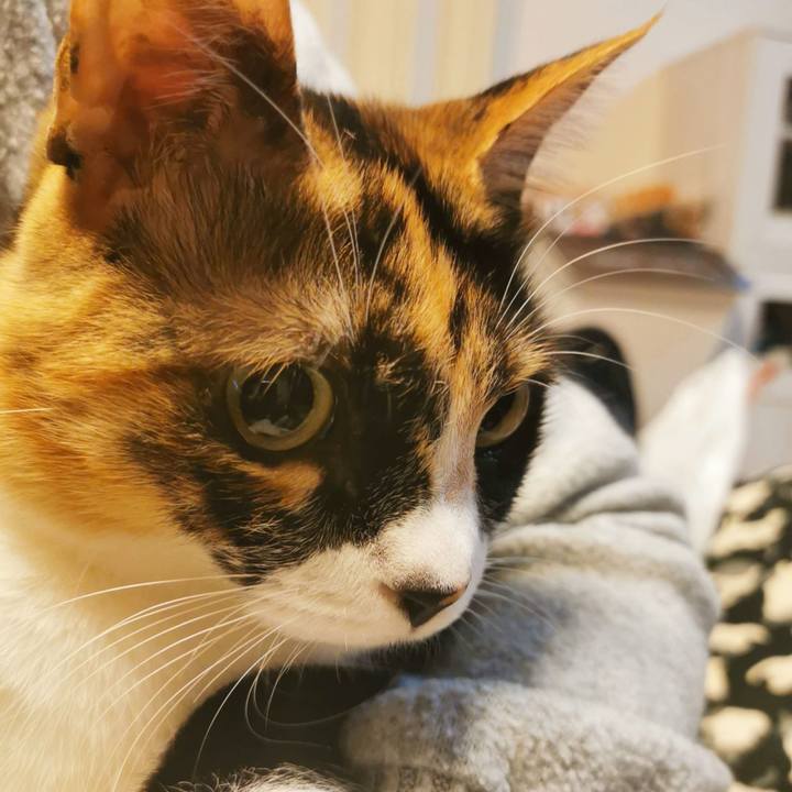 242e94ef fb31 4422 b197 5bc64e1e59e6 1675052695407