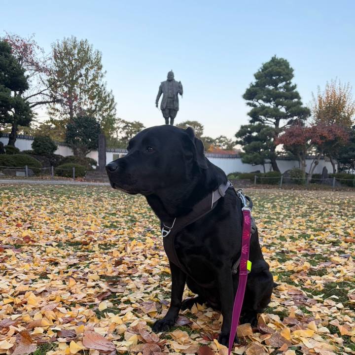 242eb5bc fcf4 49f9 9ac4 499e2d47beb2 1764673059901