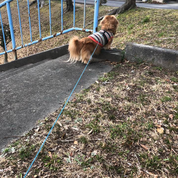 242ef4a0 05a1 44ff afb2 17fc45463a9e 1552795761622