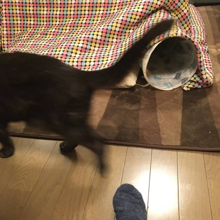 242ef7ab 4e91 43a9 bf07 5bb5894c516c 1584396874226