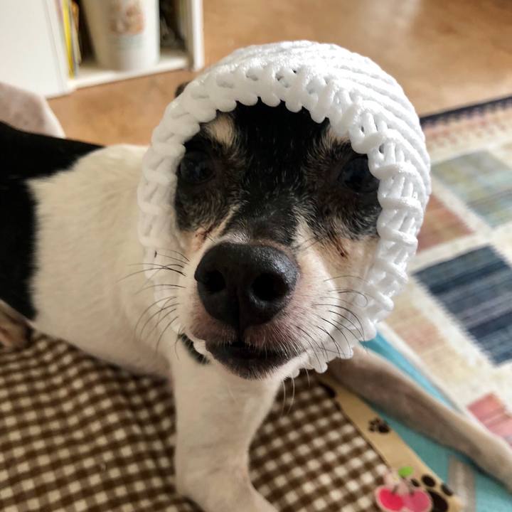 242f1924 8538 4aaa 8a7b 7d3b8c0202c6 1535496952004