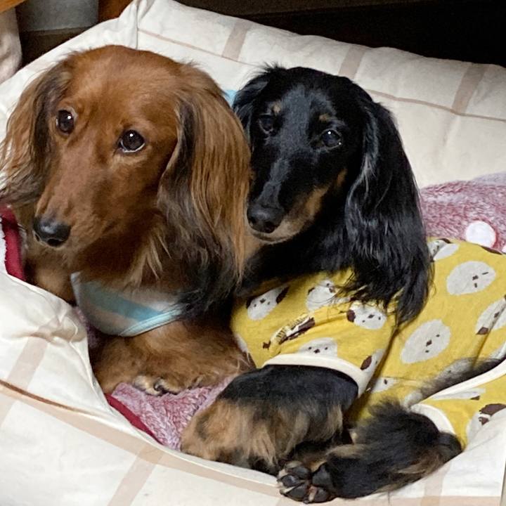 242f1bb1 fac5 419a b656 0f5d9b0c7f46 1761913160599