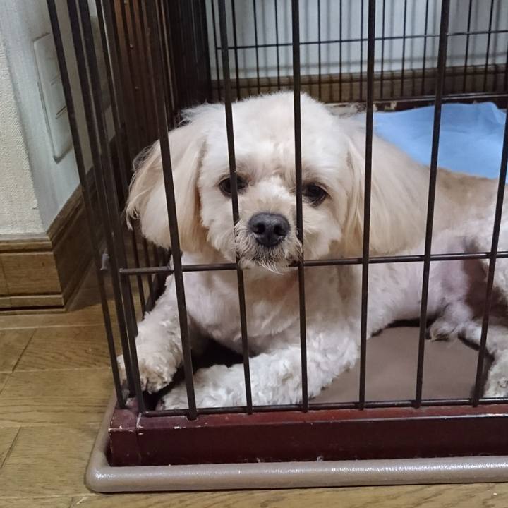 242f263d dd1e 4d51 87fd ab00637748ee 1533554937200