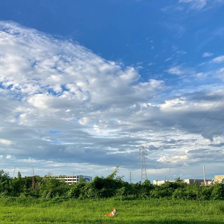 242f2fc3 018b 48b7 89c6 7a2f2f838c62 1659056956634