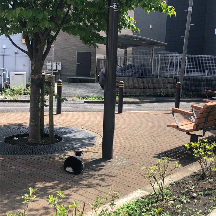 242f3d4c 25a9 4332 9d06 11bc6539cb75 1593518560713