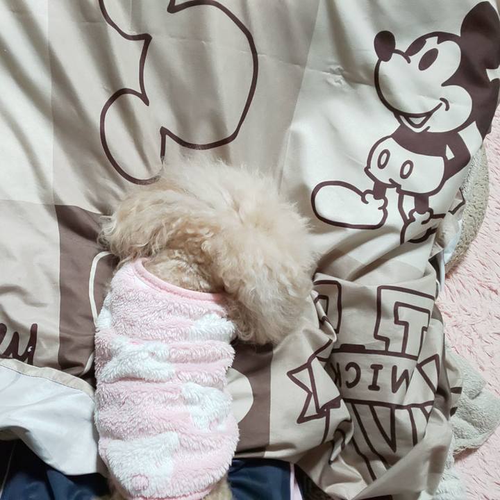 242f4367 5a4a 4a7b a5b7 ed7056ac277c 1581046371202