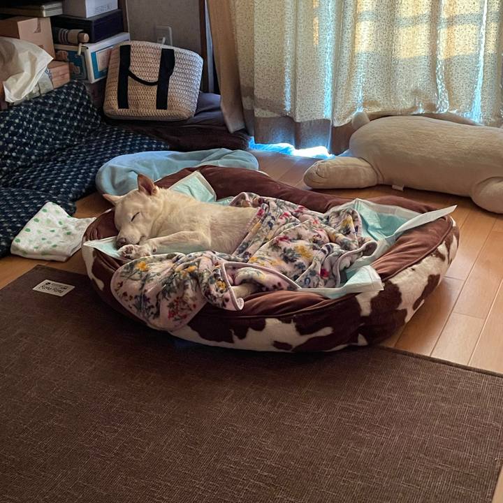 242f50f3 bd2a 440a a6a9 29bf42e173cf 1668377438495