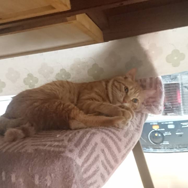 242f51e4 b699 4155 ae90 0b165c405292 1645999703922