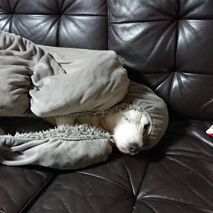 242f68d9 5644 46f4 8c90 09b8d863f2ad 1581982217979