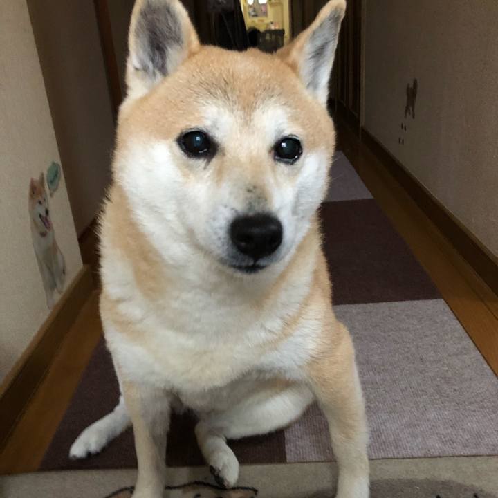 242f6eb5 46a4 43b9 8f2c 71a9a29e5d24 1581854038015