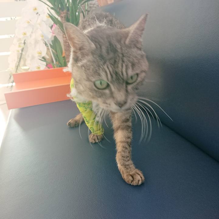 242f9089 9285 4fc9 9159 cc1a26272ba8 1586589589753