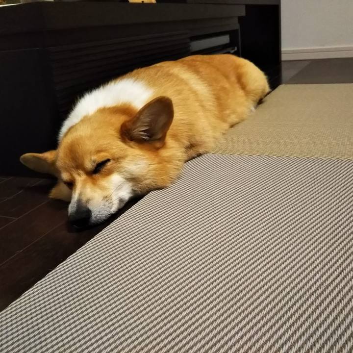 242feab4 0476 4aec a158 5710708aaeba 1533516910174