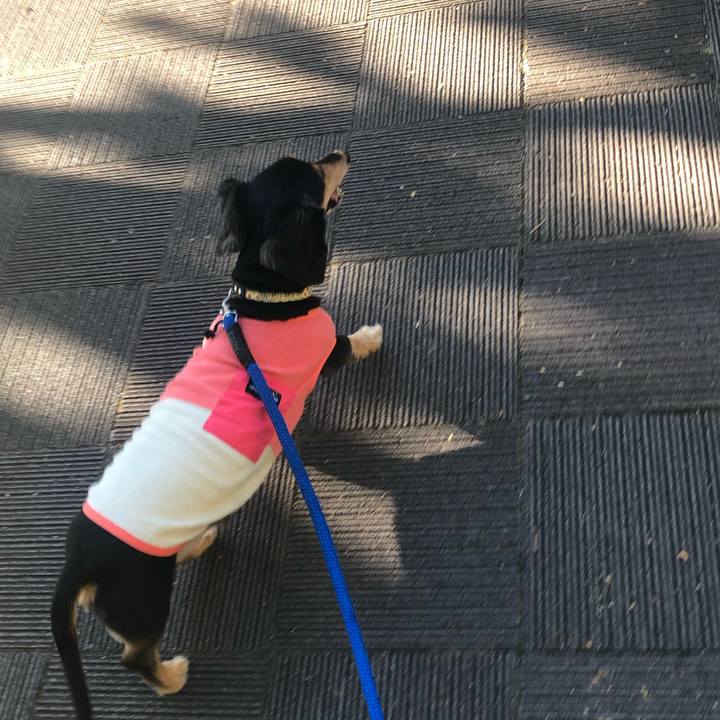 242feee2 3fa5 4cf6 b0eb 0ab0d9f83ae1 1628112813645