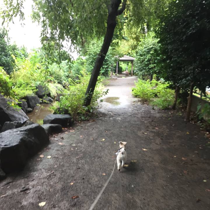 24302b6b 4fd8 4d0e 9a2a bfb2a57ff759 1535882890205