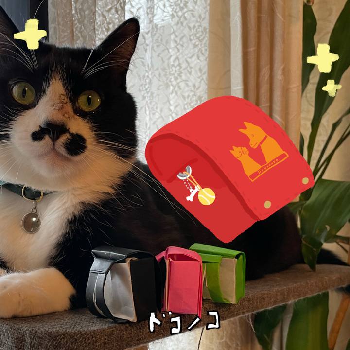 2430672b 07f1 4358 8fdf 63f41c8d33aa 1744449512904